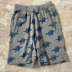 HA Dinosaur Terry Shorts Size 8